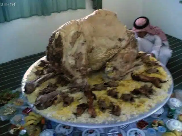stuffed-camel2