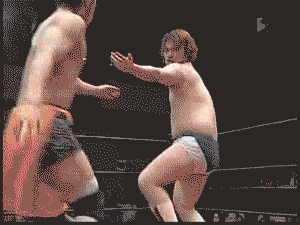 wrestling japan