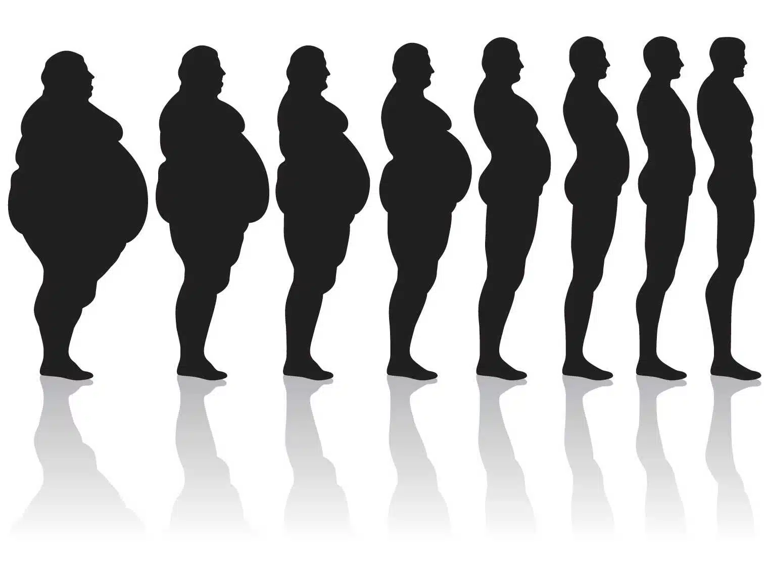 transition-fat_to_thin1