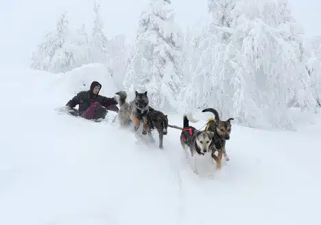 Shad Tchup Ling - Kachkanar - Transport