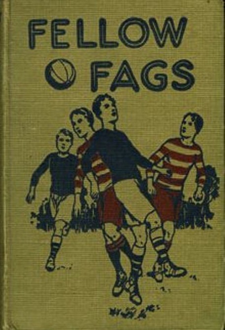 Weird Mental Book Covers - Fellow Fags