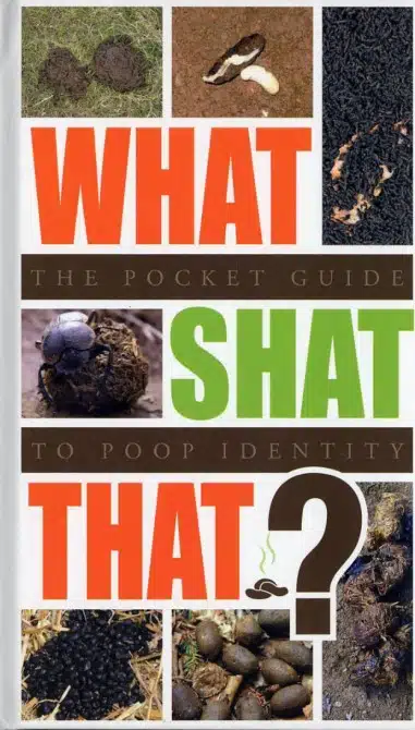Weird Mental Book Covers - poo identity 2