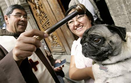 Catholics Blessing Animals - Stupid Dog