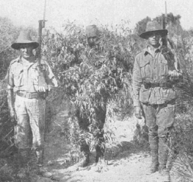 Historyical Photos - Gallipoli 1950 sniper camouflage