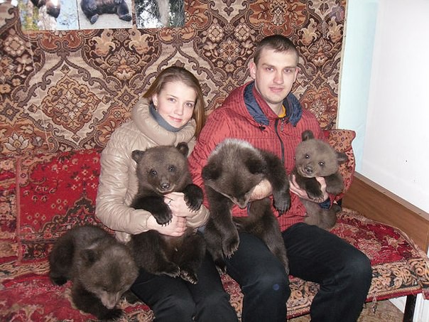 Russia With Love - Baby Bears