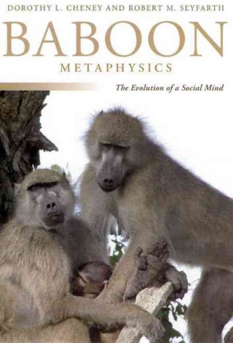 Weird Book Covers - Babboon Metaphysics
