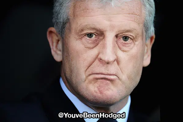 You've Been Hodged 31