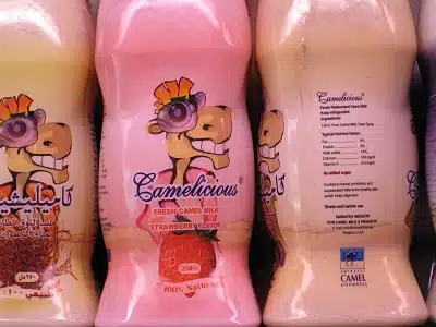 Camel Milk - Camelicious - Bottle flavoured