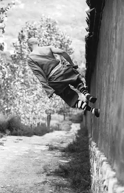 Shaolin Monks 9