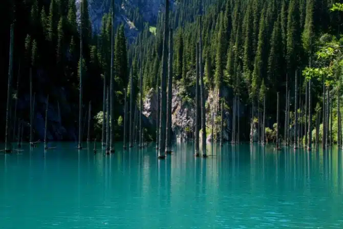 Sunken Forest in Kazakhstan - Lake Blue 2