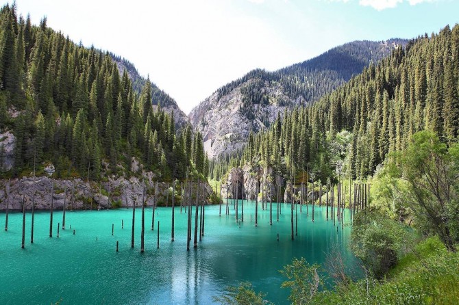 Sunken Forest in Kazakhstan - Lake Blue