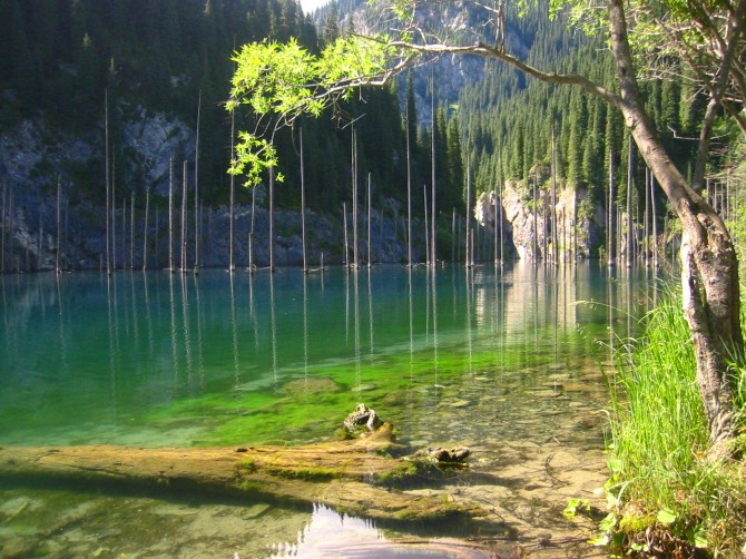 Sunken Forest in Kazakhstan - Lake Kaindy