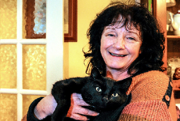 Weird News - Cat Pasty 2