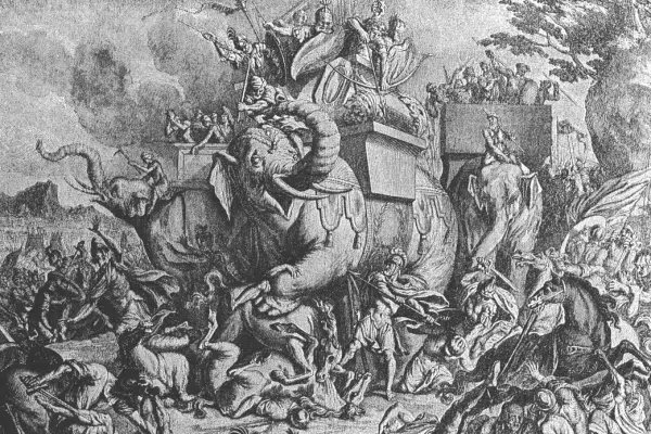 Execution death by elephant - war
