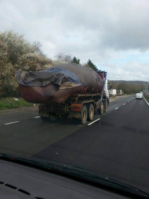 Exploding Dead Whales - Kent Motorway News