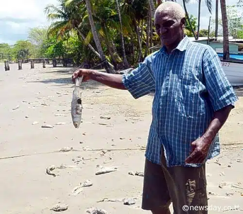 La Brea Coffee Beach Trinidad and Tobago Spill