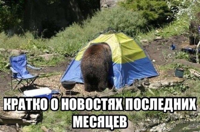 Awesome Photos From Russia With Love - bear camping