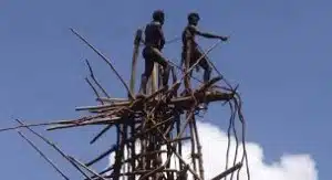 Vanuatu Land Diving Tower