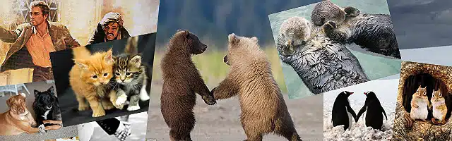 animals holding hands
