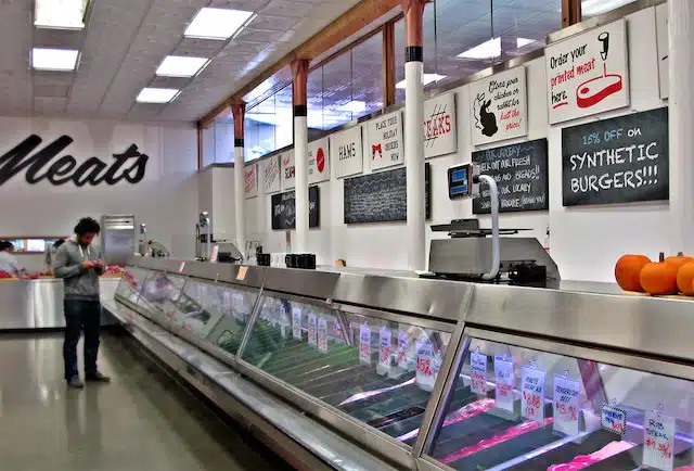Synthetic Meat