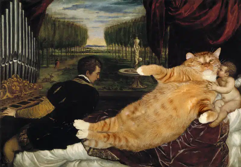 Art Improved By Fat Ginger Cat 4