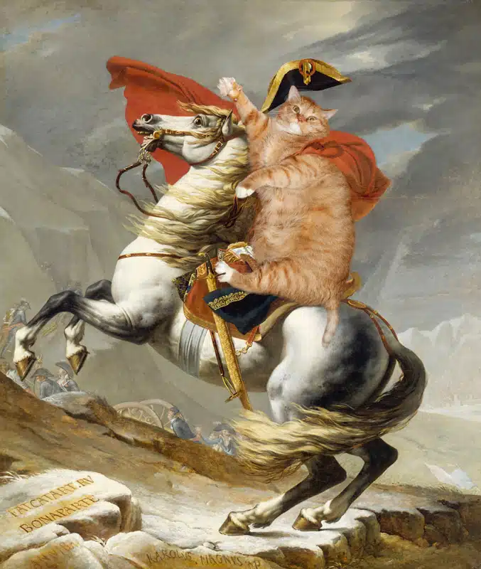 Art Improved By Fat Ginger Cat 43