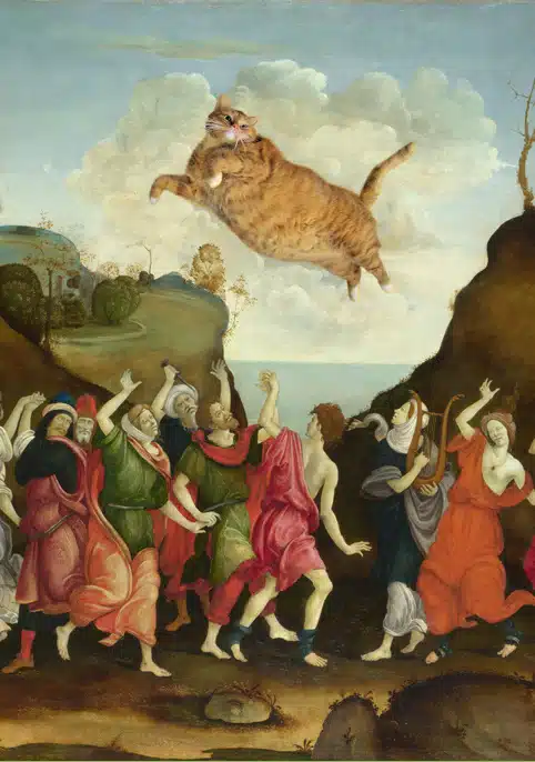 Art Improved By Fat Ginger Cat 5