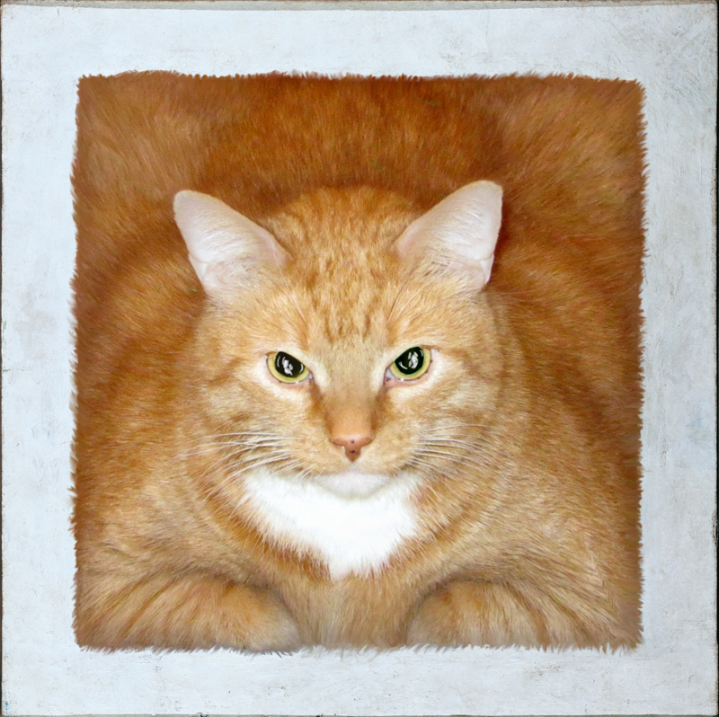 Art Improved By Fat Ginger Cat 69