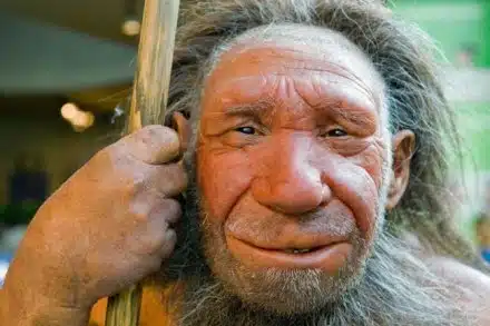 Everyone Should Be Vegetarian - Stone Age Man
