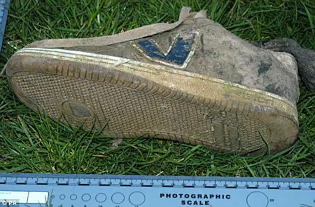 Sasamat Lake - Canadian foot Vision