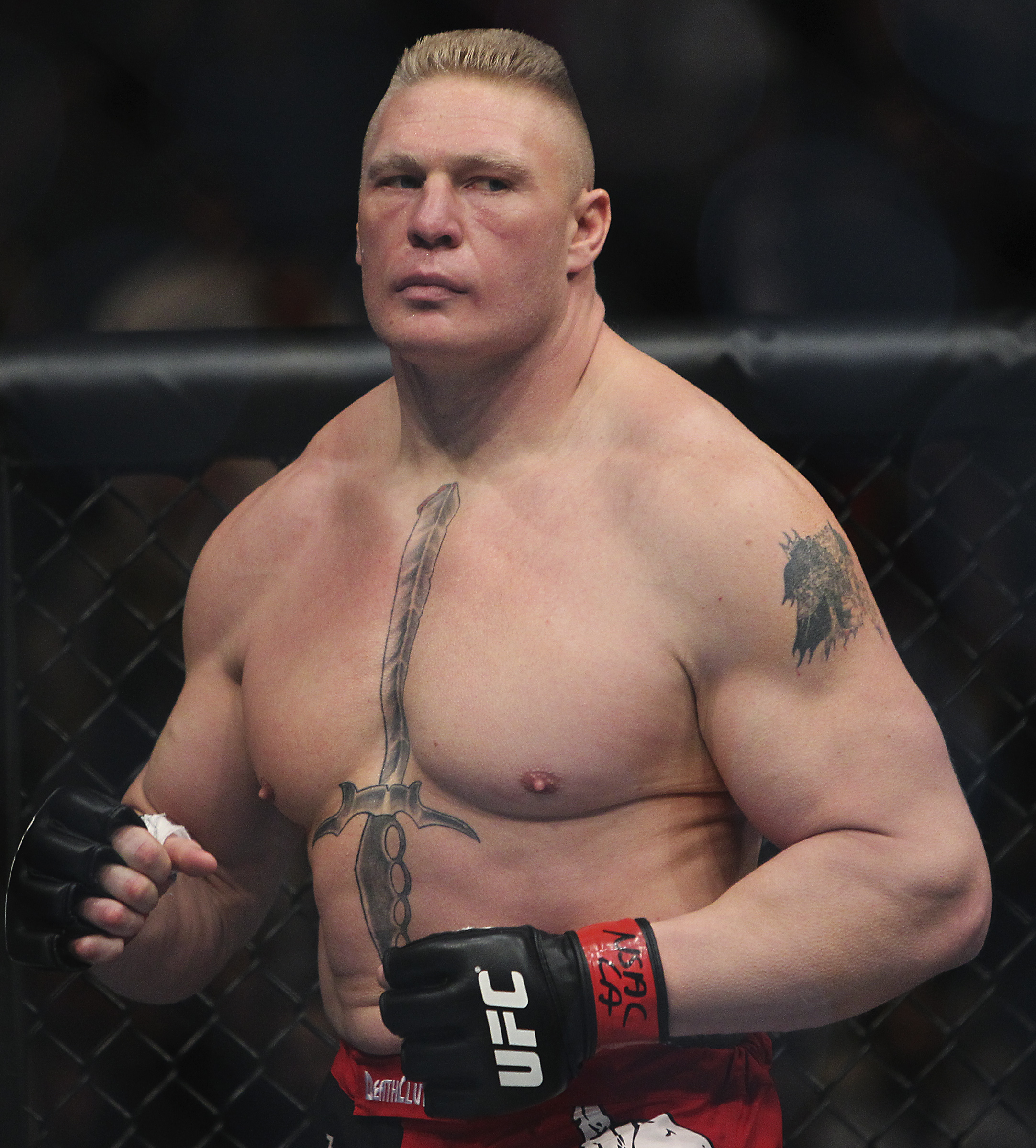 BROCK LESNAR Philtrum : Shitty Advice