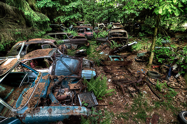 Car Graveyard 11