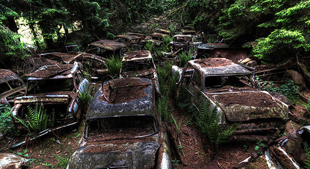 Car Graveyard 1