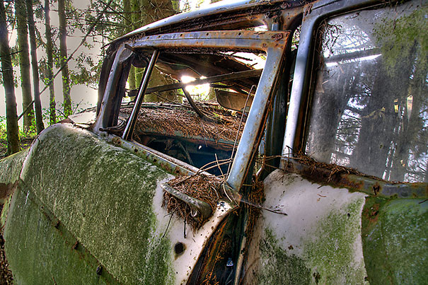 Car Graveyard 5
