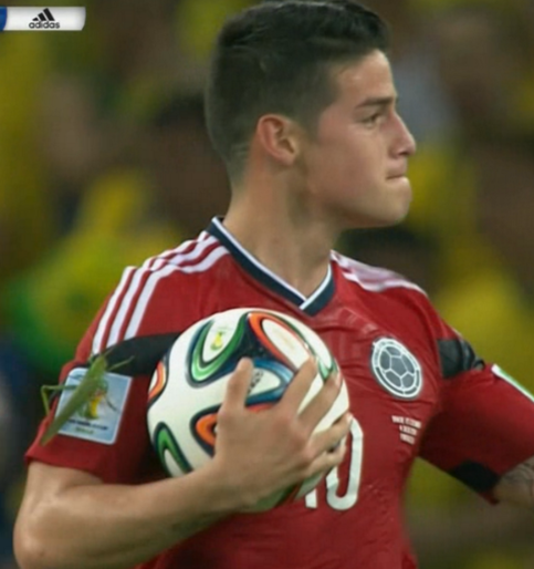 James Rodriguez Insect 1