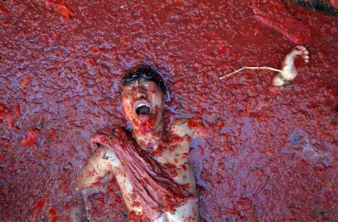 Spain Tomato Fight