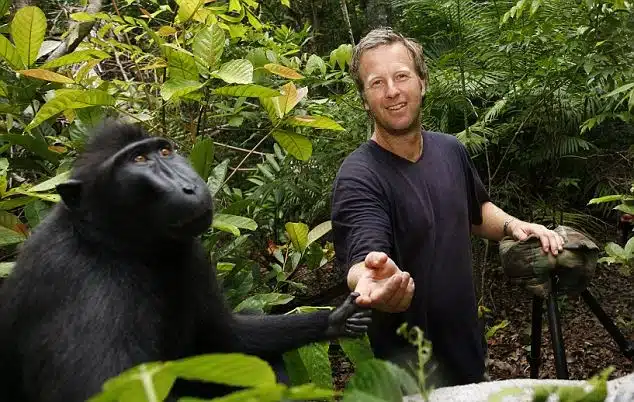 Monkey Selfie Wikipedia David Slade