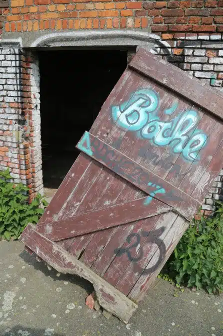 DOEL 29