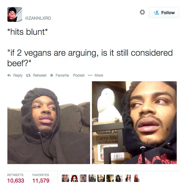Stoner Questions 19