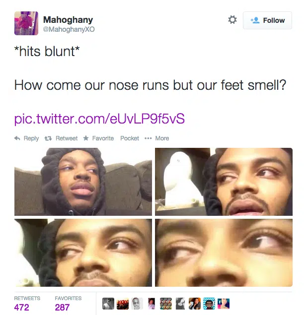 Stoner Questions 9