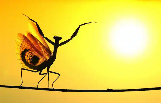 National Geographic 20