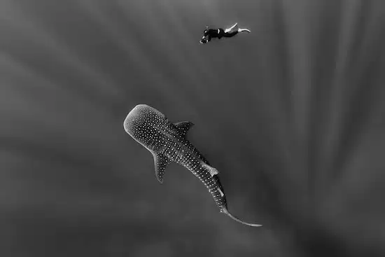 National Geographic 23