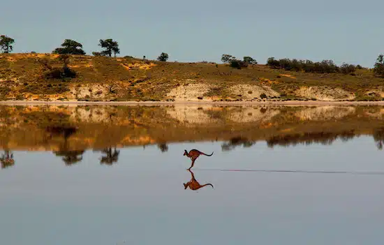 National Geographic 9