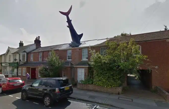 Shark House 1