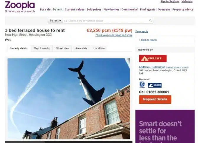 Shark House 2