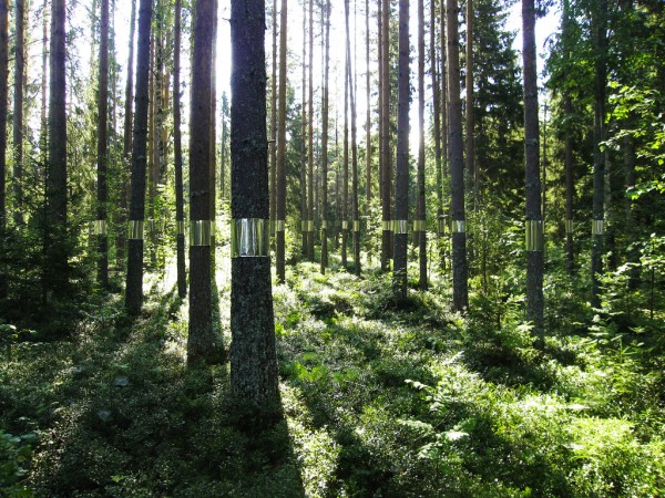 Zander Olsen - Tree, Line - fabric and mirror