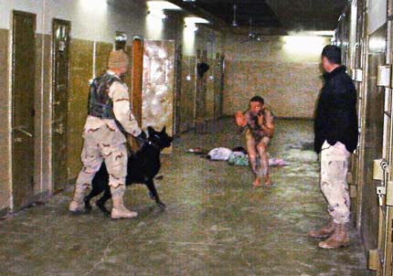 CIA torture report use of dogs