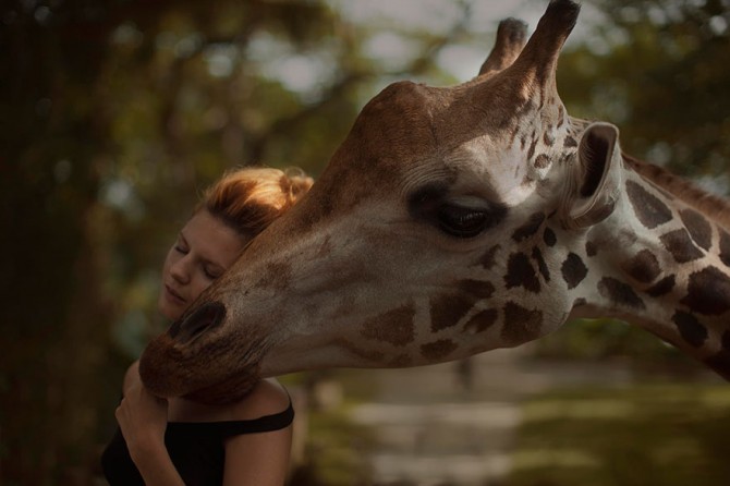 Katerina Plotnikova - Girl And Giraffe#