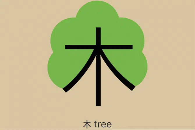 Learn Chinese 3 tree