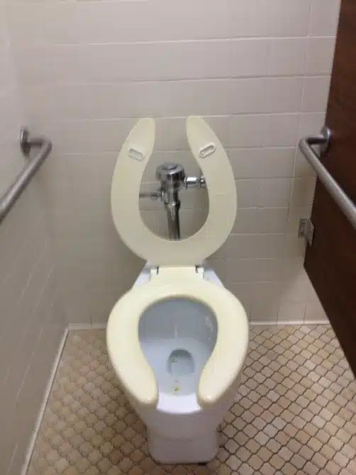 Glitches In The Matrix - toilet malfunction